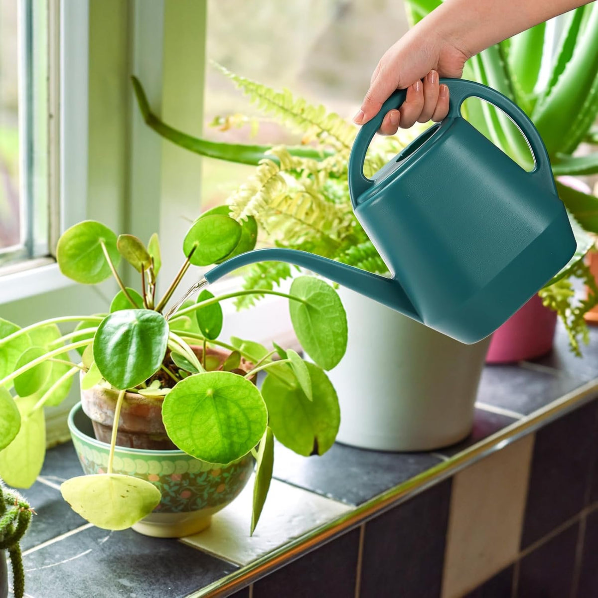 Laurel Gardenware Compact Plastic Long-Spout Watering Can additional product photo