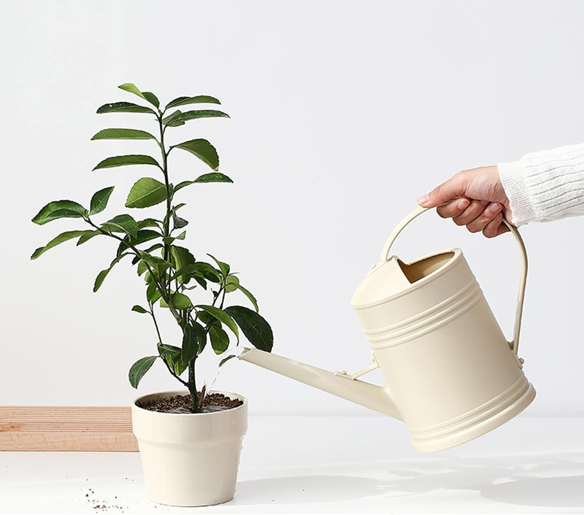 Laurel Gardenware Ivory Watering Can with Detachable Spray Head additional product photo
