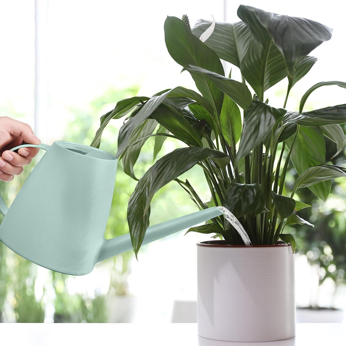 Laurel Gardenware Light Green Watering Can with Removable Shower Head additional product photo